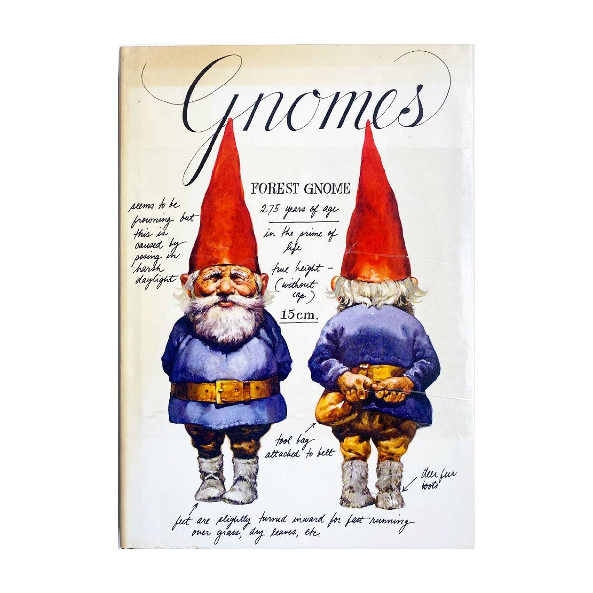Gnomes, First Edition, 1977 – Colourful Fable
