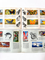 Set of Four Brooke Bond Picture Card Books, 1960s