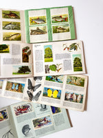 Set of Four Brooke Bond Picture Card Books, 1960s