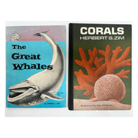 The Great Whales & Corals, 1970s