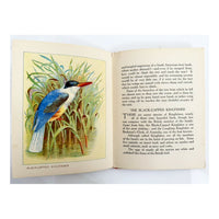 My Book of Birds, 1924