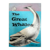 The Great Whales & Corals, 1970s