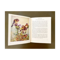 A Pocket-Book of Common British Birds, 1962