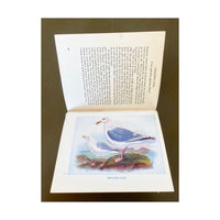 Vintage Bird Book, 1960s
