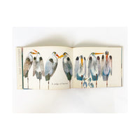 Birds By Brian Wildsmith, First Edition, 1967