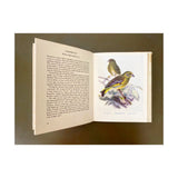 Vintage Birdspotting book