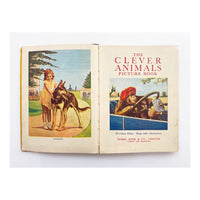 The Clever Animals Picture Book