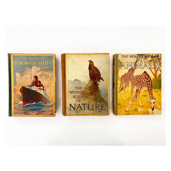 Set of Three Wonder Books, 1920s
